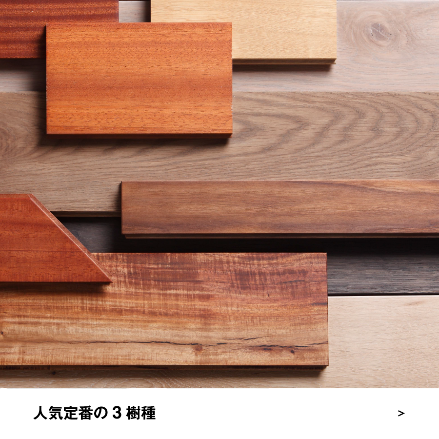 定番樹種サンプルセットプレゼント