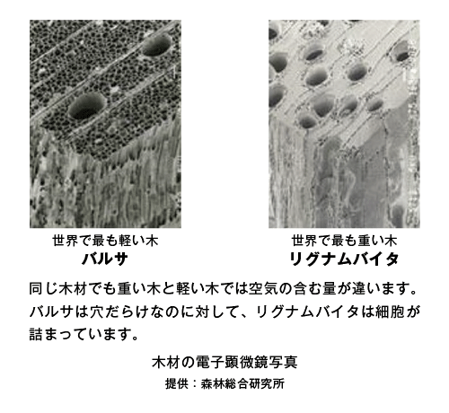 やさしい木のぬくもり 足を冷やさない木の秘密 無垢フローリング 無垢材 無垢内装材 マルホン