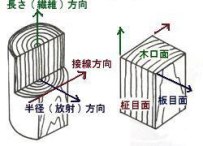 木材の直交3軸