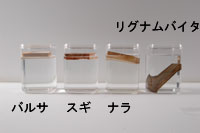 <small>水に浮かぶ木・沈む木</small>