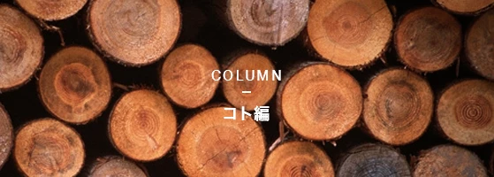 COLUMNコト編