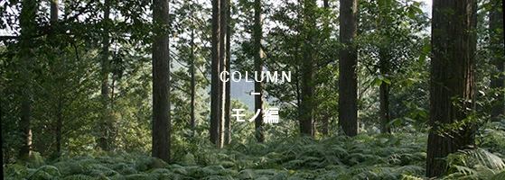 COLUMNモノ編